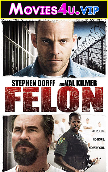 Felon