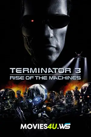 Terminator 3: Rise of the Machines