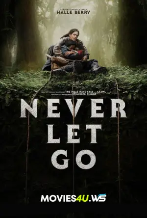 Never Let Go