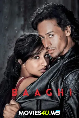 Baaghi