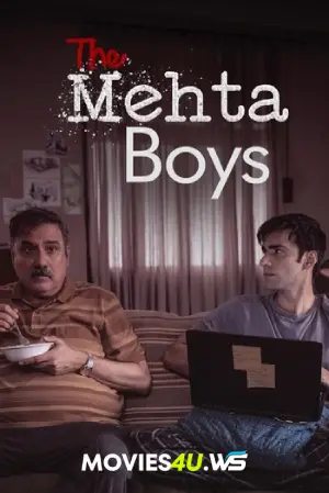 The Mehta Boys